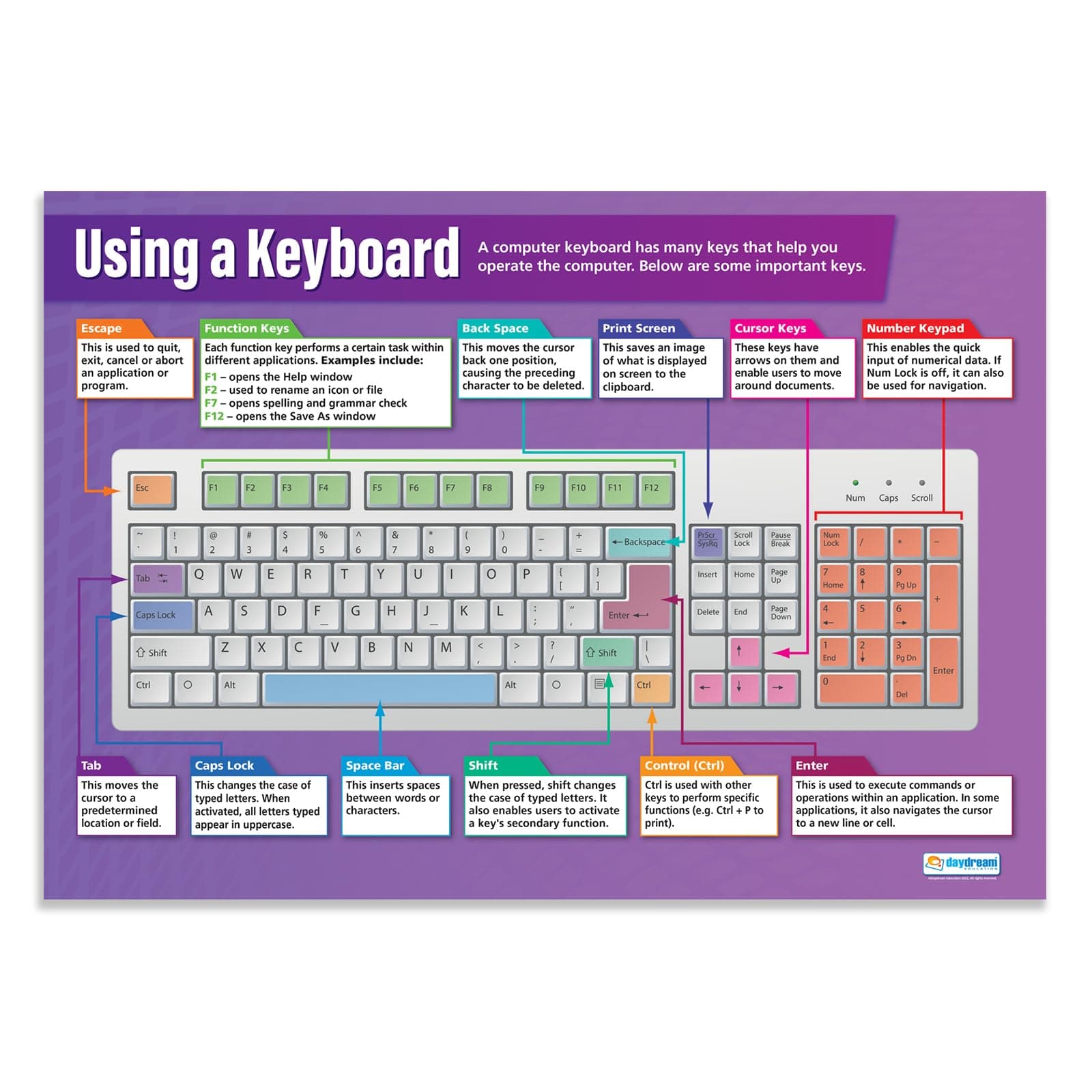 Daydream Education Using a Keyboard Classroom Poster - EXTRA LARGE 33” x 23.5” - Laminated - Technology and Computing Class Decoration - ICT Wall Charts