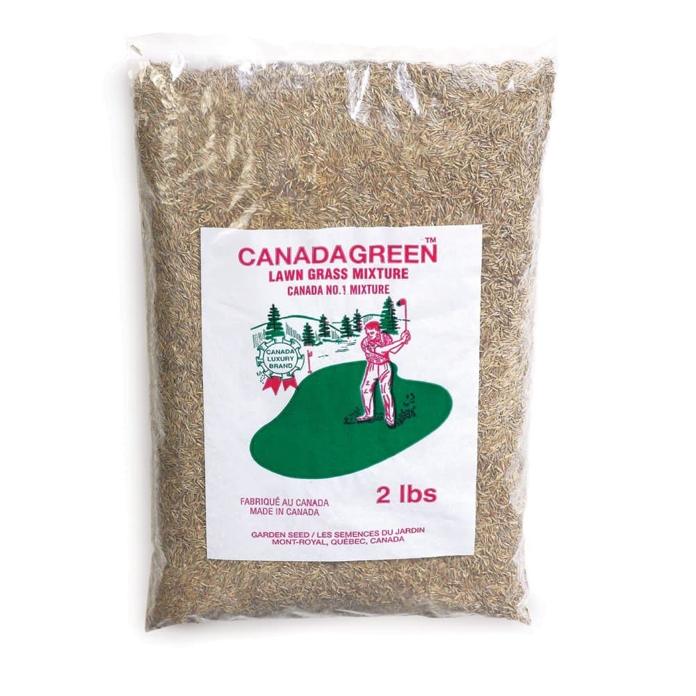 Canada Green Grass Lawn Seed - 2 Pound Bag