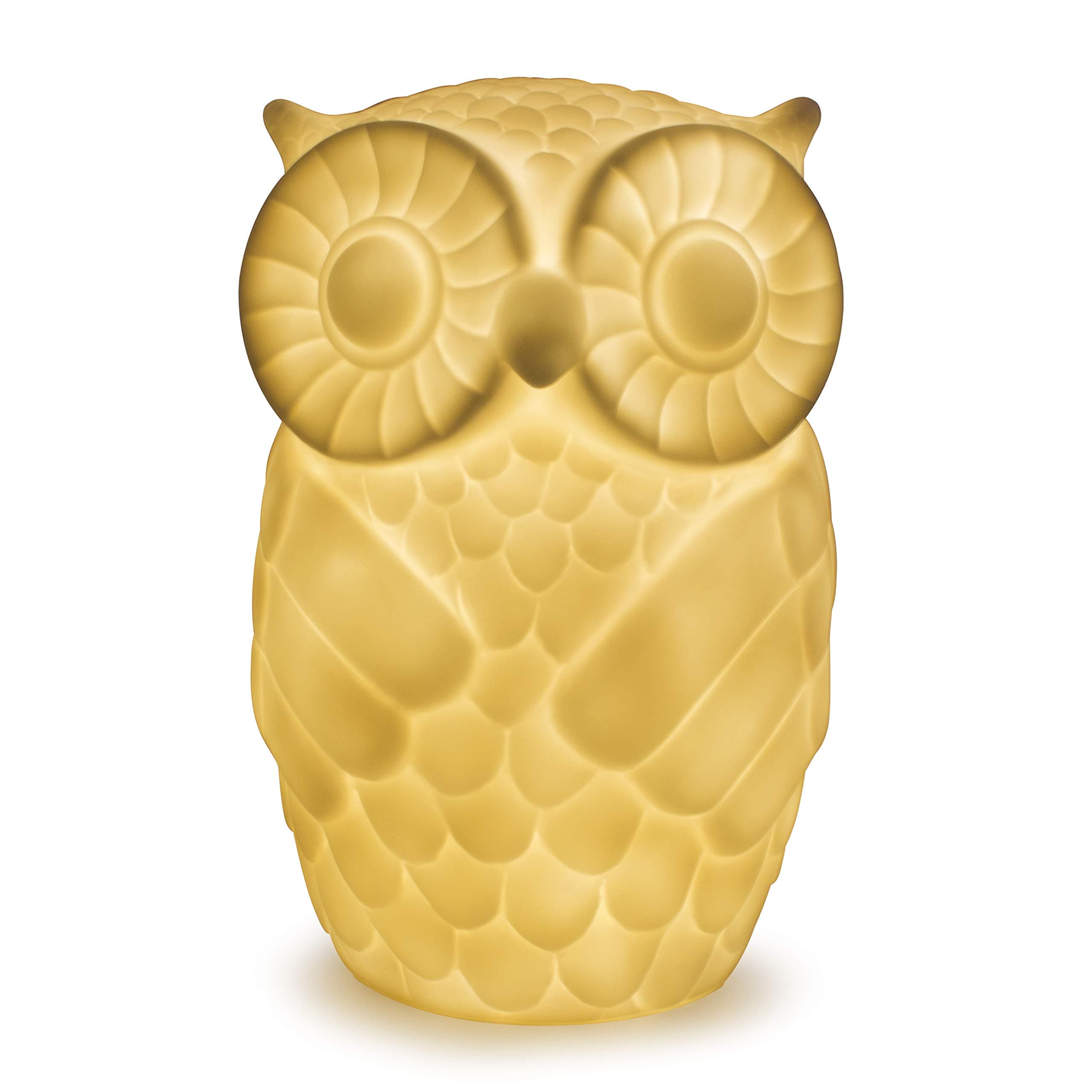 Kids Owl Night Light Lamp, Battery Powered Table Bedside Decorative Light with 1 Hour Timer for Bedroom, Nursery, Living Room (Warm White, Small Eyebrows)