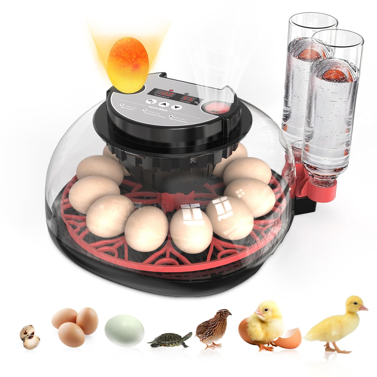Incubators for Hatching Eggs Automatic Egg Incubator with Temperature Control Humidity Display 12 Egg Capacity for Chicken Duck Goose Eggs Digital Display Auto Turner 360° View