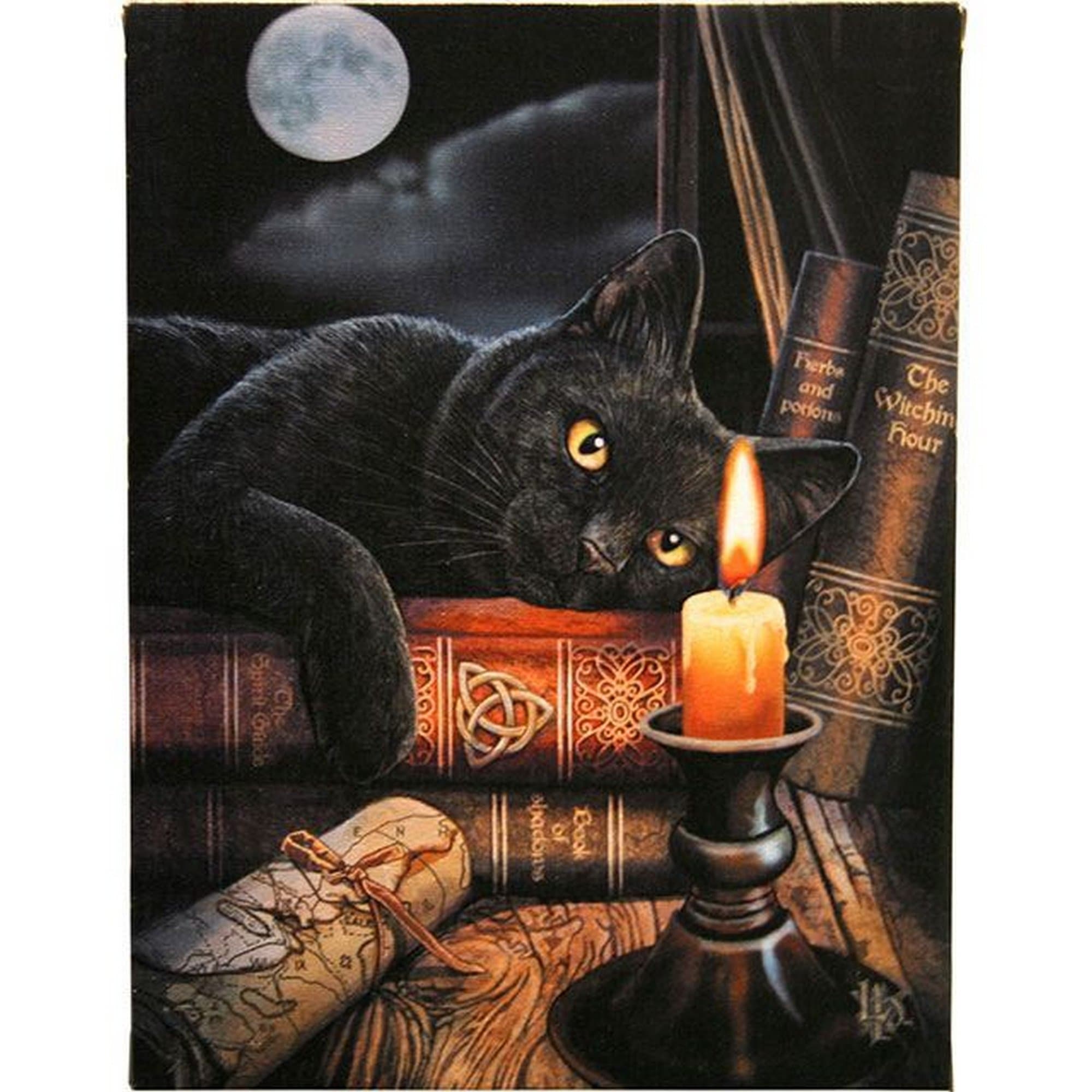 Magical Gift Store WP_22414 Canvas Plaque | Witching Hour by Anne Stokes | 19x25 | 1pc