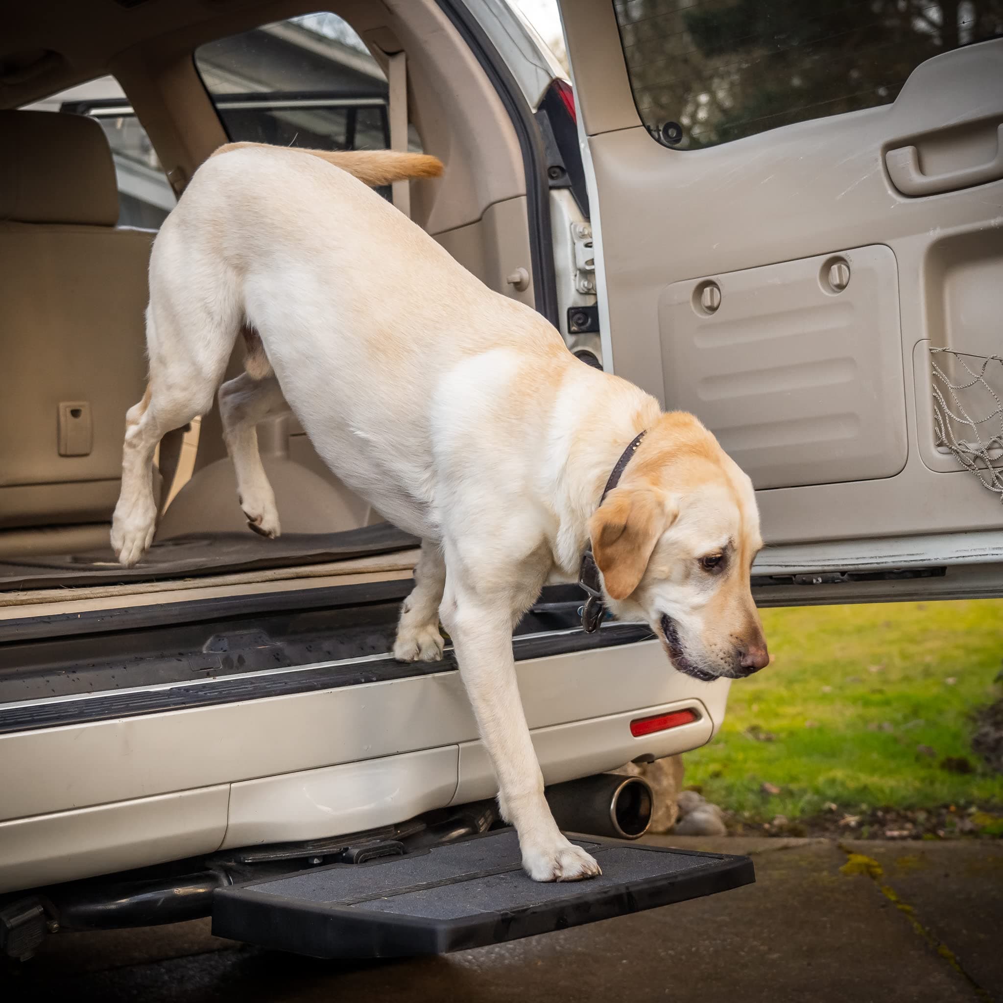 Car Pet Ramp Pet Step by Otto Step