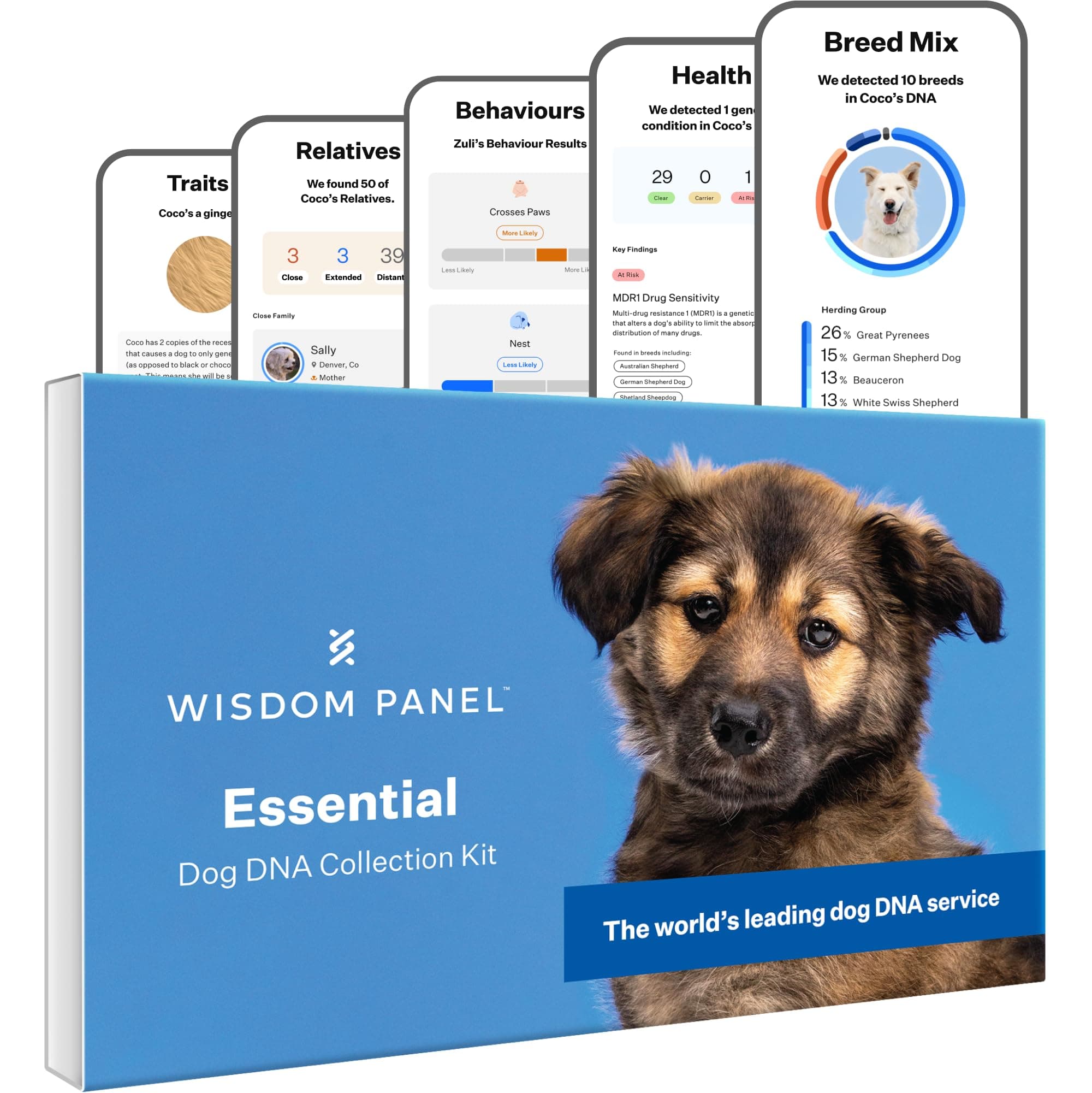 Wisdom Panel Essential: Most Accurate Dog DNA Test Kit for Breed ID and Ancestry | 25+ Genetic Health Conditions | Traits | Relatives