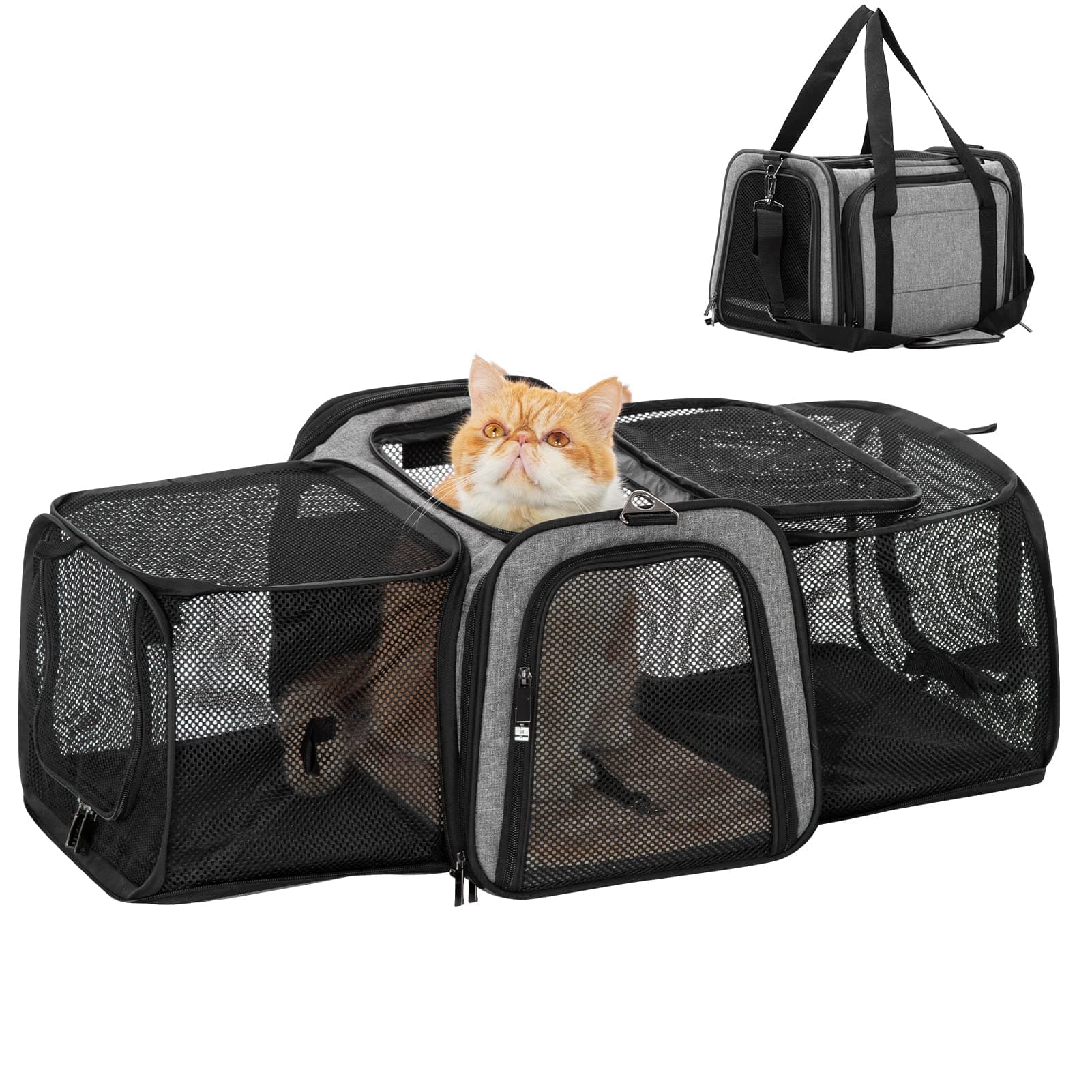 Petsfit Most Airline Approved Solid Expandable Soft-Sided Carrier with 2 Large Extensions for Pets up to 15 Pounds