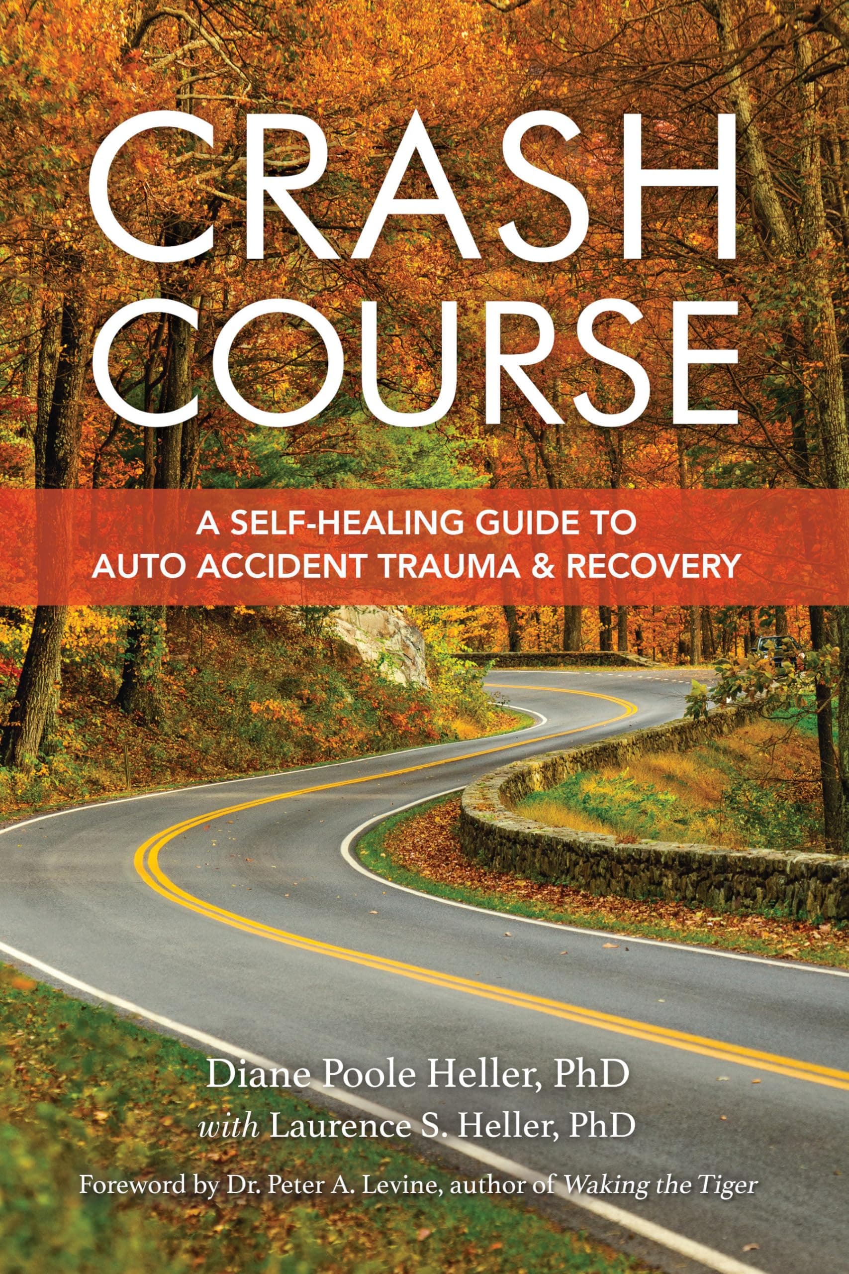 Crash Course: A Self-Healing Guide to Auto Accident Trauma and Recovery Paperback – October 26, 2001
