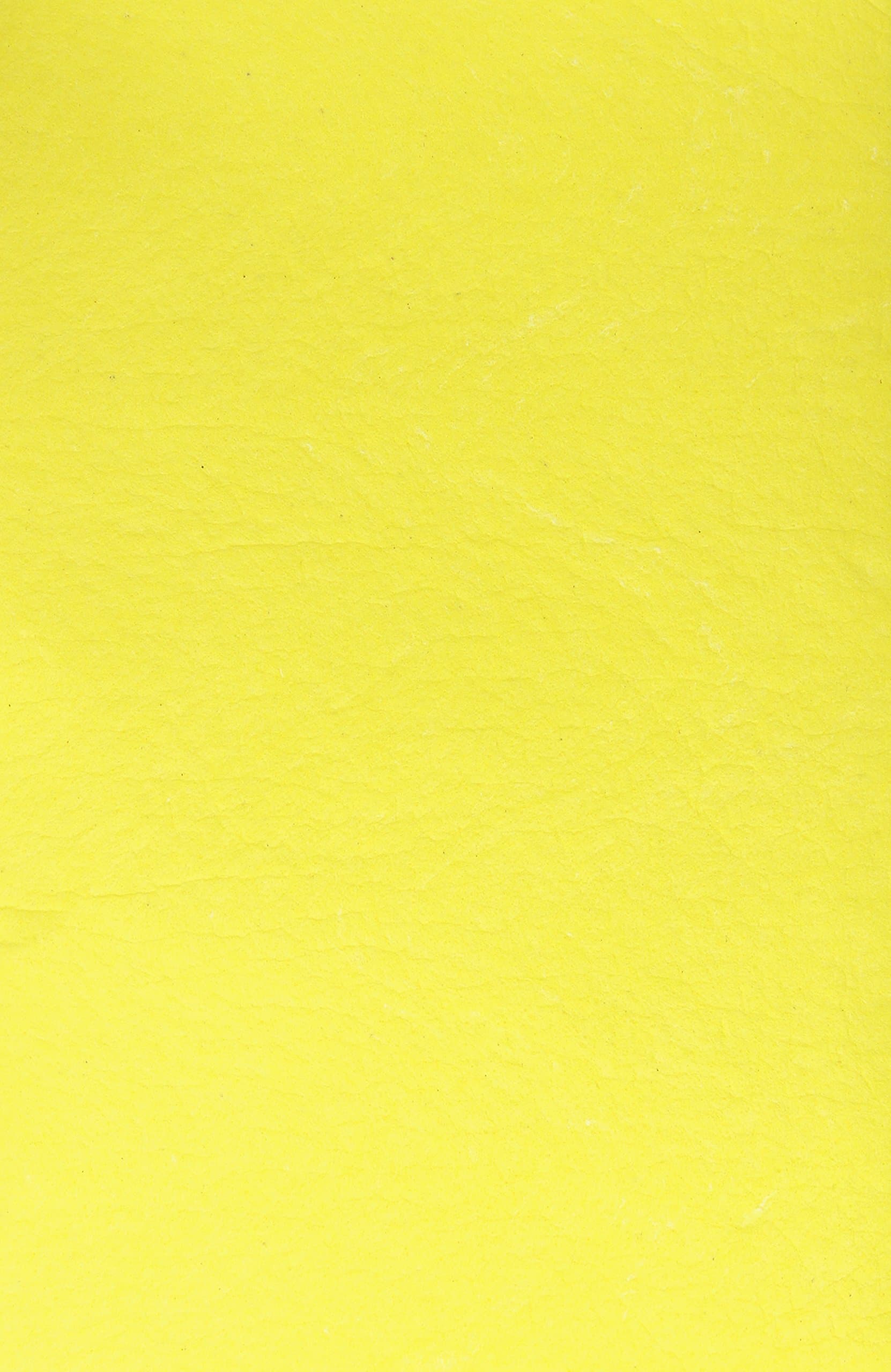 Masterson Sta-Wet Super Pro Refill Sponge, 10 X 14.5 inches, Package of 1 (1216.51), Yellow