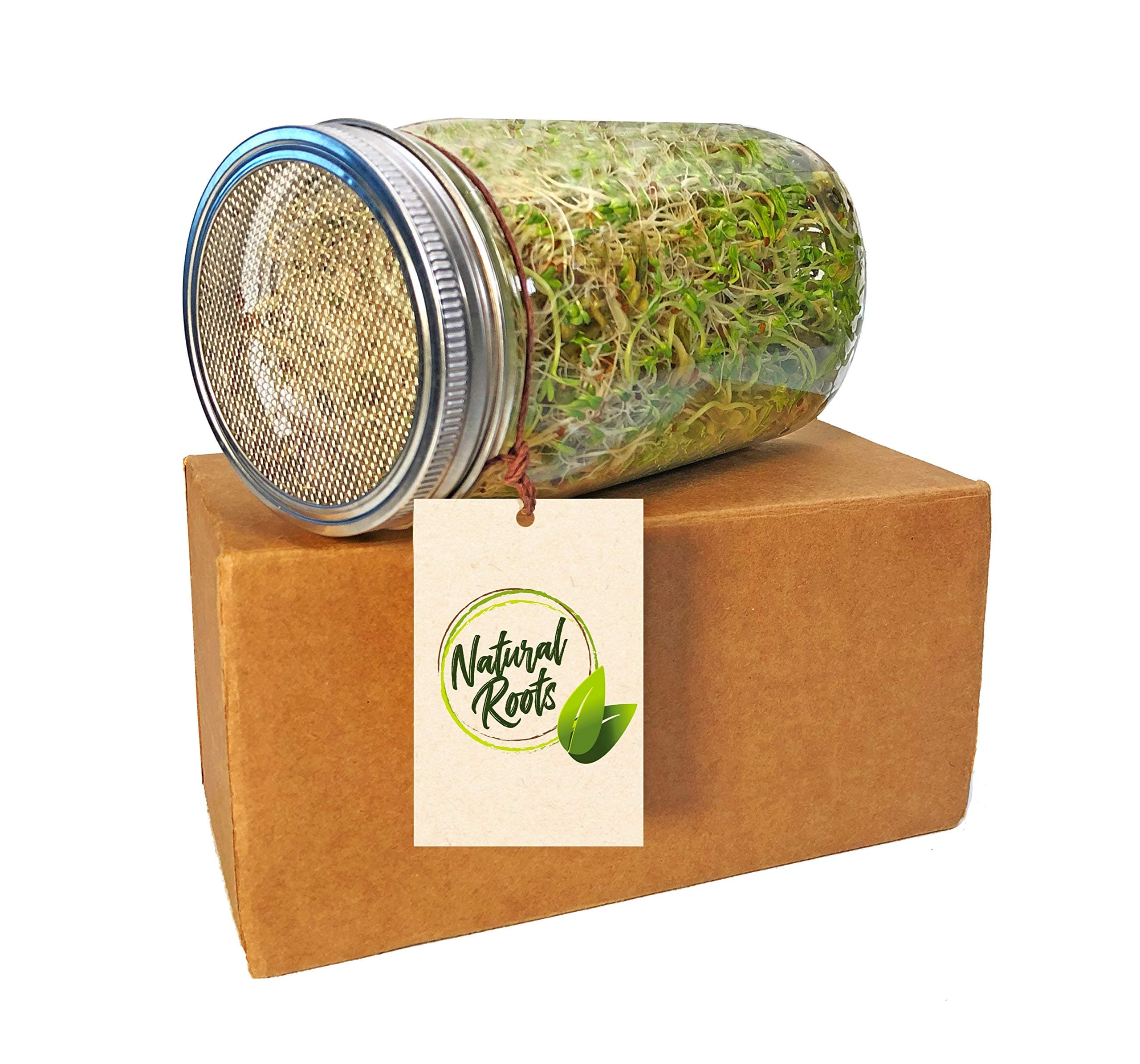 Sprouting Jar with Screen Lid-316 Stainless Steel 100% Rust Free, Wide Mouth Quart Mason Jar Kit Sprouter, Organic Healthy Fresh Broccoli, Alfalfa, Mung Bean Sprouts and more (Seeds not included)