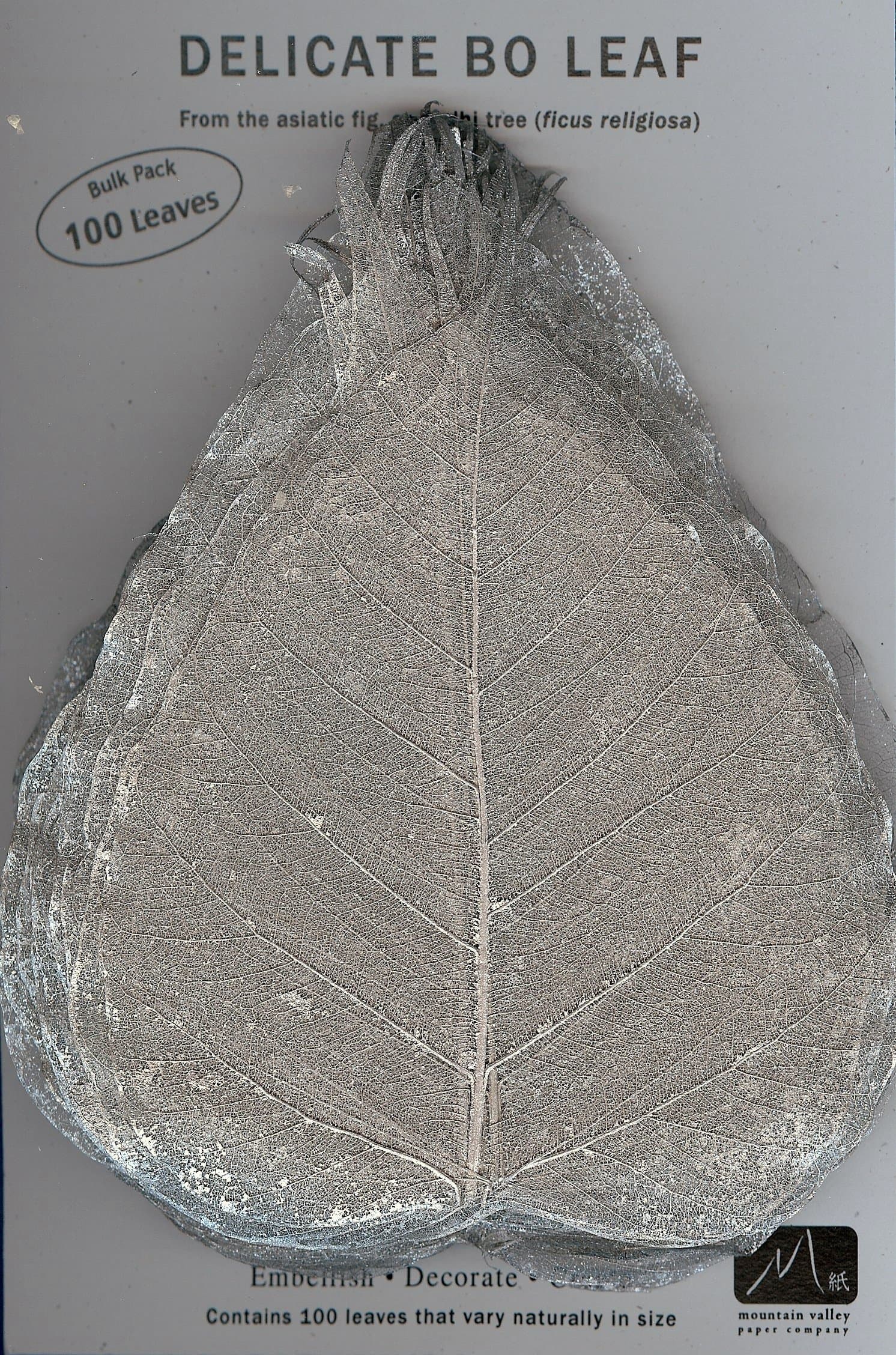 SILVER BO LEAF - Pack of 100 skeleton leaves